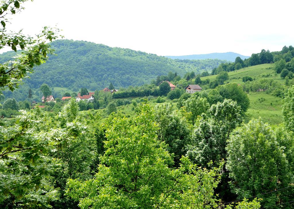 Apartments Zugec Seliste Dreznicko Exterior foto